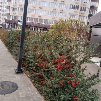 Продается 1-комнатная квартира, 34,4 м²