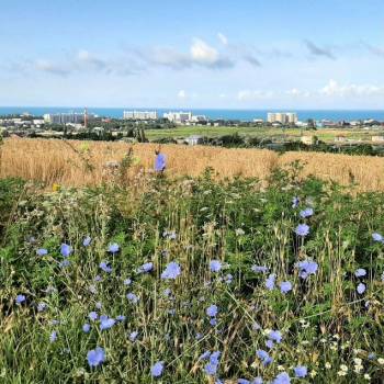 Продается Участок, 500 м²