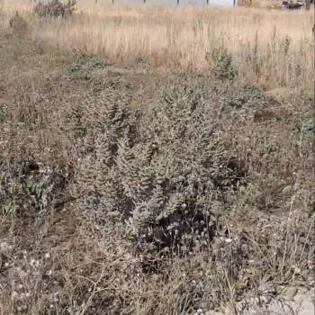 Продается Участок, 500 м²