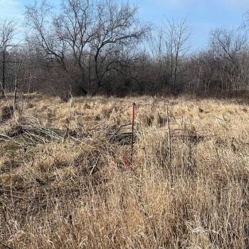 Продается Участок, 2000 м²