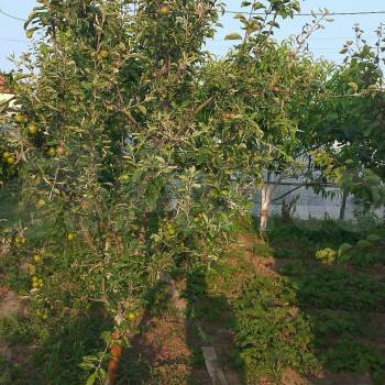 Продается Дом, 90 м²