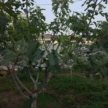 Продается Дом, 90 м²