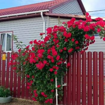 Продается Дом, 90 м²