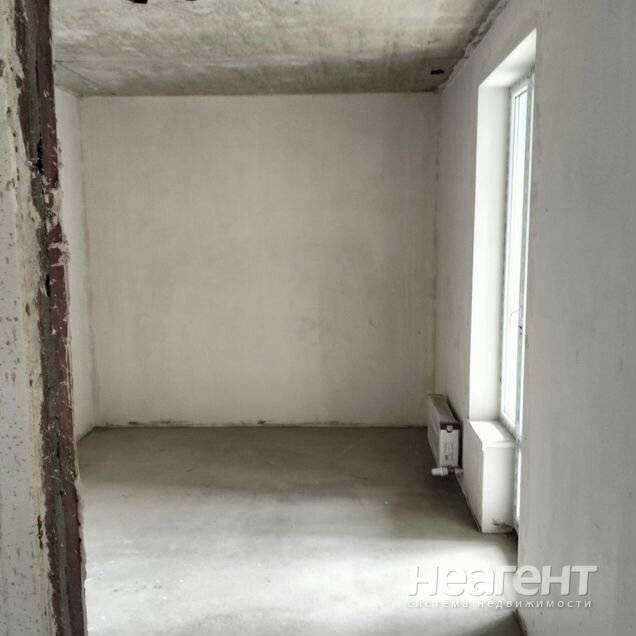 Фотография №4