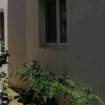 Продается Дом, 65 м²