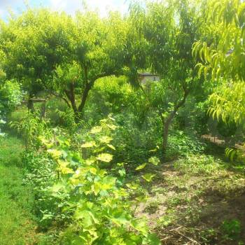 Продается Участок, 1600 м²