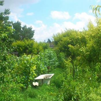 Продается Участок, 1600 м²