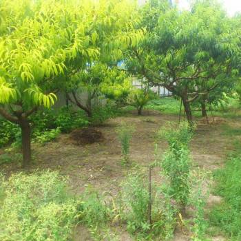 Продается Участок, 1600 м²