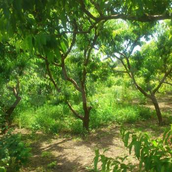 Продается Участок, 1600 м²