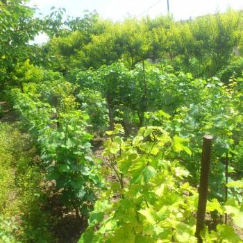 Продается Участок, 1600 м²