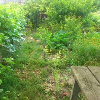 Продается Участок, 1600 м²