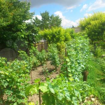 Продается Участок, 1600 м²