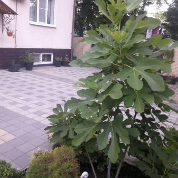 Сдается Комната, 20 м²