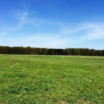 Продается Участок, 17000 м²