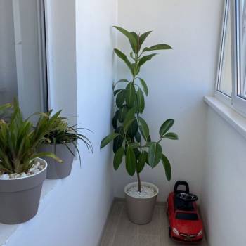 Продается 2-х комнатная квартира, 41 м²