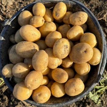 Продается Участок, 1200 м²