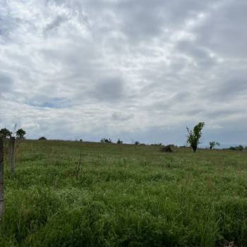 Продается Участок, 700 м²