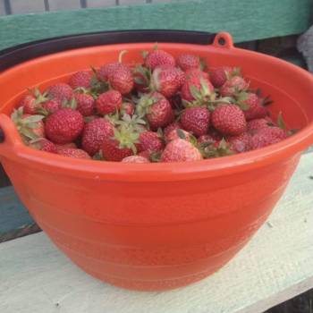 Продается Участок, 17000 м²