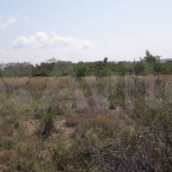 Продается Участок, 17000 м²