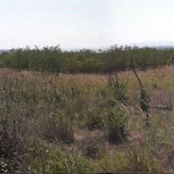 Продается Участок, 17000 м²