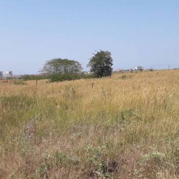 Продается Участок, 17000 м²