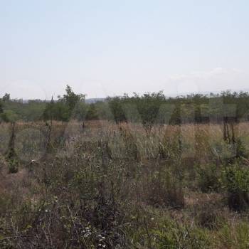 Продается Участок, 17000 м²