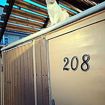 Сдается Комната, 12 м²