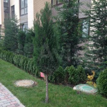 Сдается 1-комнатная квартира, 46 м²