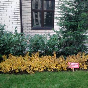 Сдается 1-комнатная квартира, 46 м²