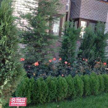 Сдается 1-комнатная квартира, 46 м²