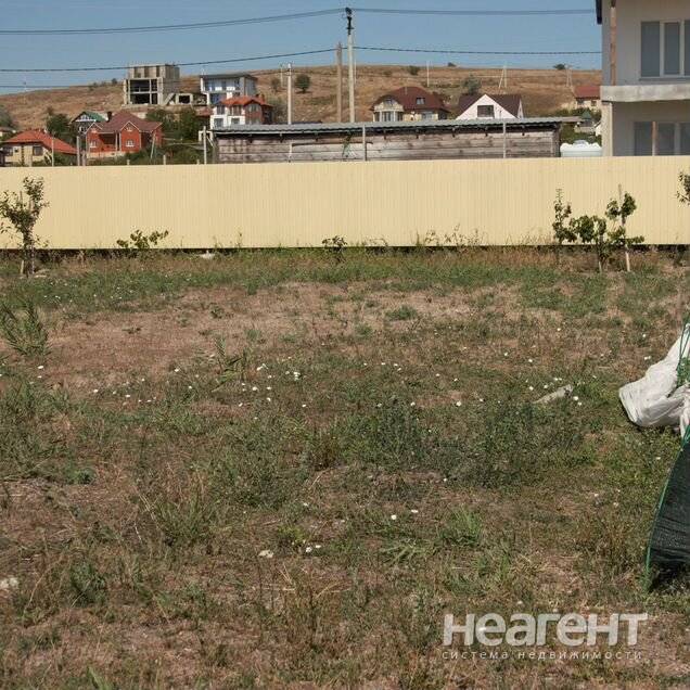 Фотография №3