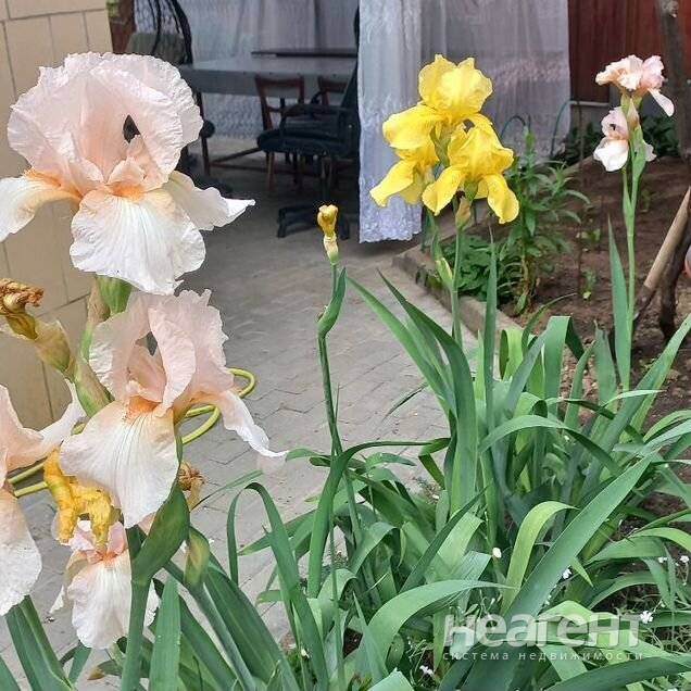 Фотография №2