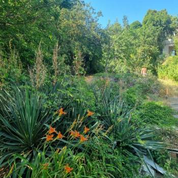 Продается Участок, 990 м²