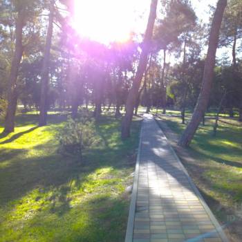 Продается 1-комнатная квартира, 28 м²