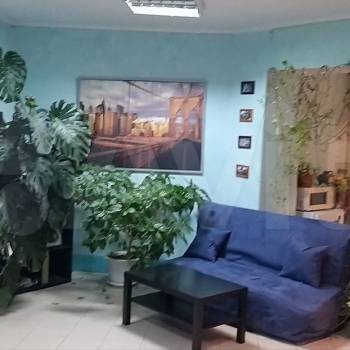 Сдается Нежилое помещение, 43,5 м²