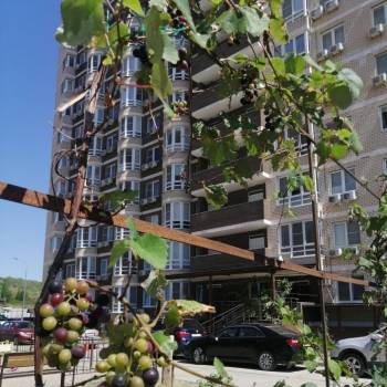 Сдается 1-комнатная квартира, 41 м²