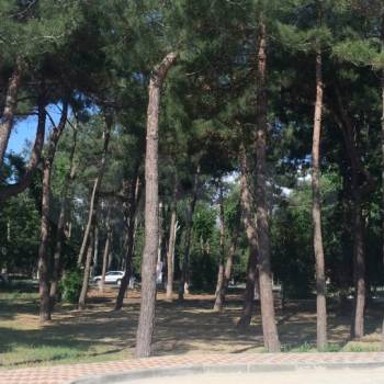 Сдается 1-комнатная квартира, 41 м²