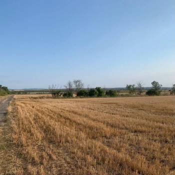 Продается Участок, 17000 м²