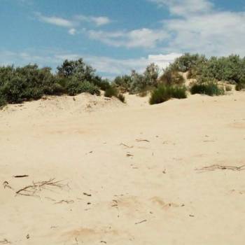 Сдается 1-комнатная квартира, 32,5 м²