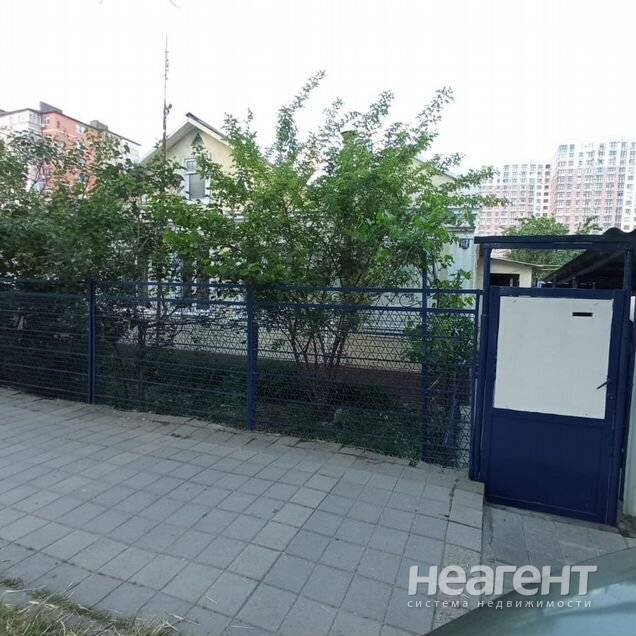 Фотография №3