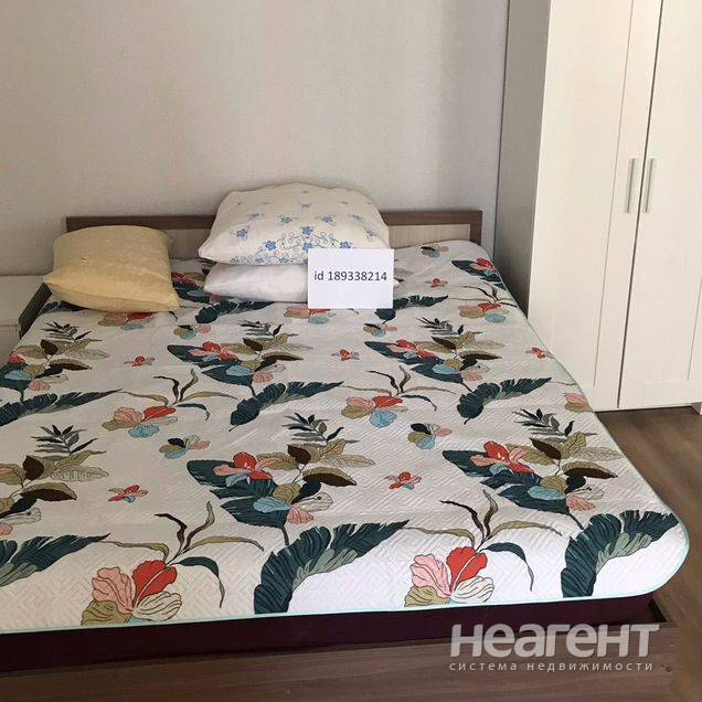 Фотография №2