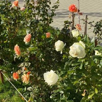 Продается 1-комнатная квартира, 35 м²