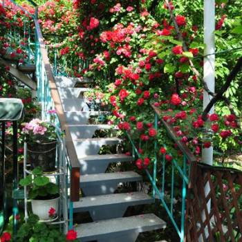 Продается Дом, 403 м²