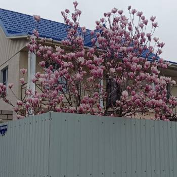 Продается Дом, 166 м²