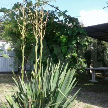 Продается Участок, 1600 м²