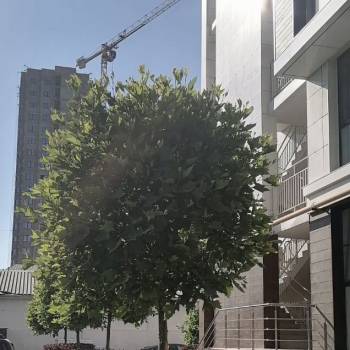 Продается 1-комнатная квартира, 46 м²