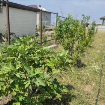 Продается Участок, 1600 м²