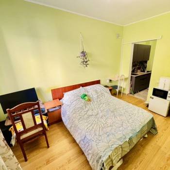 Продается 1-комнатная квартира, 17,3 м²