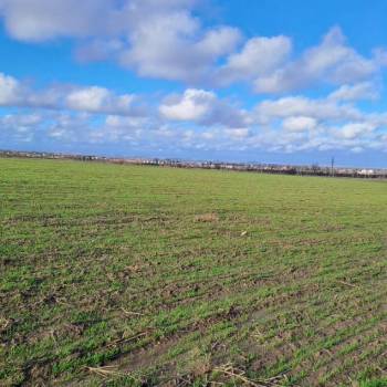 Продается Участок, 15000 м²