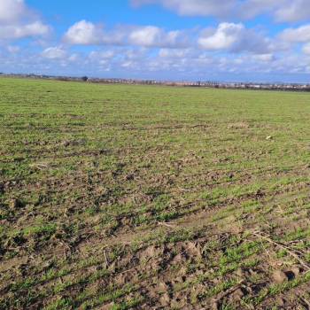 Продается Участок, 15000 м²